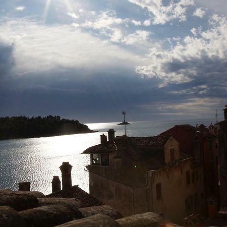 Apartment Lacerta Rovinj Zewnętrze zdjęcie